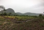 Terrain 400 m2 à Dubreka