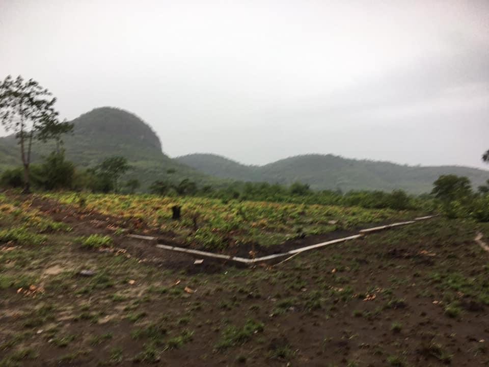 Terrain 400 m2 à Dubreka