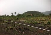 Terrain 400 m2 à Dubreka