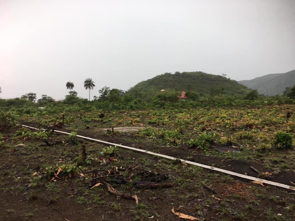 Terrain 400 m2 à Dubreka