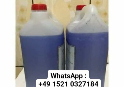 FB_IMG_1699909461777
