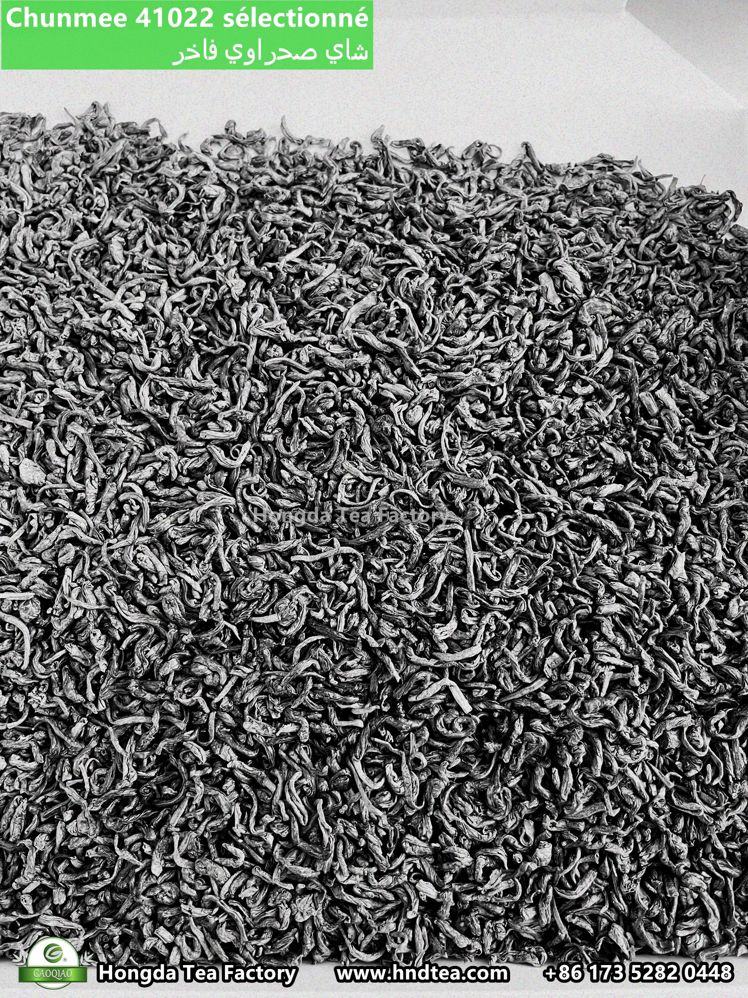 Thé vert chinois qualité garantie d’usine réputée de 30 ans