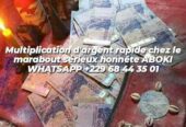 MULTIPLICATION D’ARGENT RAPIDE GRÂCE A LA PORTEFEUILLE MAGIQUE TRES EFFICACE CHEZ MAÎTRE MARABOUT ABOKI