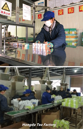 Importer du thé vert directement de l’Usine chinoise
