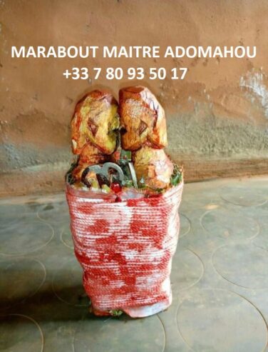 comment faire revenir son partenaire rapidement en 24h +33780935017