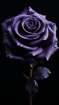 Get Relaxed in ARKANSAS] +256780437107 PONTENT SPECIALISED LOVE SPELL CASTER IN IVORY COAST