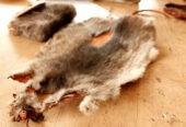+27833895606 Trusted Traditional Healer in Johannesburg|Pretoria|Hammanskraal|Shoshanguve|Tembisa|