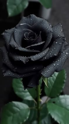 Get Relaxed in Juba] +256780437107 PONTENT SPECIALISED LOVE SPELL CASTER IN South Sudan