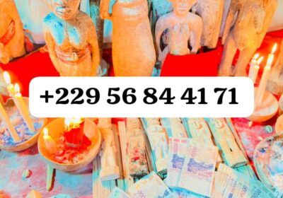 0251b699-fca2-409b-8520-ed49edb2e2db
