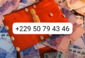 VRAI PORTEFEUILLE MAGIQUE SANS CONSEQUENCE +229 50 79 43 46