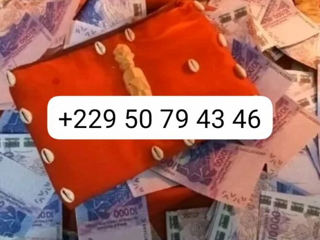 VRAI PORTEFEUILLE MAGIQUE SANS CONSEQUENCE +229 50 79 43 46