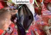 Comment obtenir un vrai portefeuille magique sans conséquence