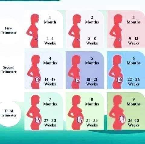 Approved Abortion Pills In Mbombela South Africa+27 63 034 8600