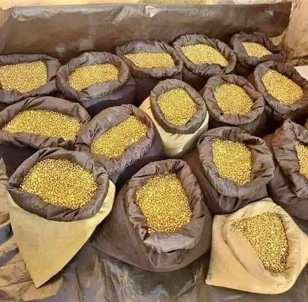 Gold Nuggets And Rough Diamond In Riyadh, Saudi Arabia+27 73 799 4524