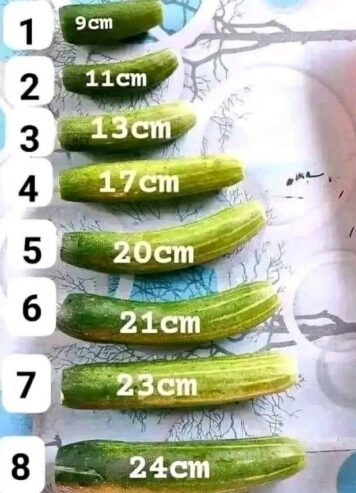 PENIS ENLARGEMENT COMBO IN BULAWAYO ZIMBABWE+27 71 009 6483