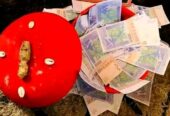 Comment avoir le vrai portefeuille magique ? vrai portefeuille magique a distance, +229 56 84 41 71 vrai portefeuille magique en dollars
