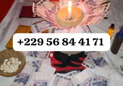 9fad390d-539c-43bb-9be8-31d61f61d62b