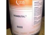 Nembutal (pentobarbital) Now Available In Polokwane+27 81 850 2816