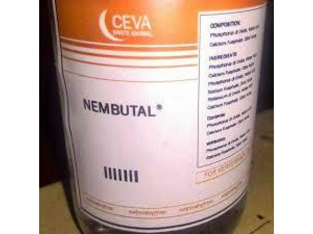 Nembutal (pentobarbital) Now Available In Polokwane+27 81 850 2816