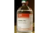Nembutal (pentobarbital) Now Available In Polokwane+27 81 850 2816