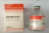 Nembutal (pentobarbital) Now Available In Polokwane+27 81 850 2816