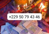 VRAI PORTEFEUILLE MAGIQUE SANS CONSEQUENCE +229 50 79 43 46
