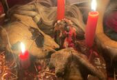 +1 (973)-384-3997 Good Day people, here is Best love spell Caster in Los Angeles California