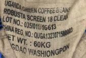 SELLING ROBUSTA SCREEN 18, ROBUSTA SCREEN 15, ROBUSTA SCREEN 12, ARABICA GRADE AA +27631501216