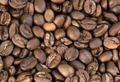 SELLING ROBUSTA SCREEN 18, ROBUSTA SCREEN 15, ROBUSTA SCREEN 12, ARABICA GRADE AA +27631501216