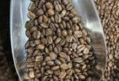 Uganda’s Best Cocoa Bean export company and exporters in South Africa +27631501216