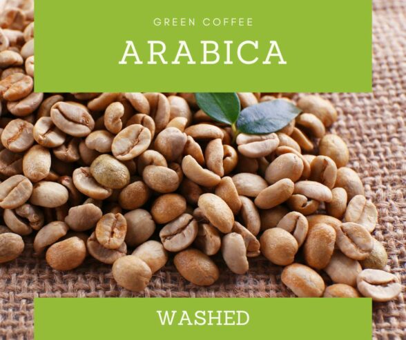 Explore African Coffee Exporters & Importers +27631501216 | Top Best Robusta Coffee Beans Suppliers