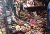 I want to join occult for money rituals (( +2349025235625 ))