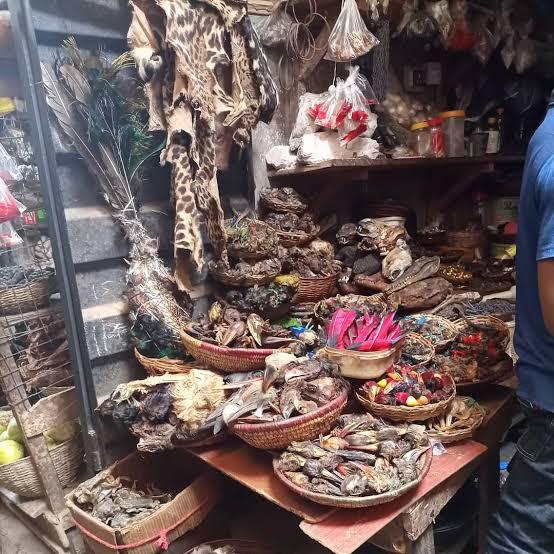 I want to join occult for money rituals (( +2349025235625 ))