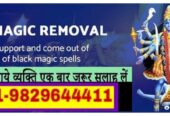 +91-9829644411 Love Vashikaran Expert In India
