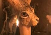 I want to join occult for money rituals (( +2349025235625 ))