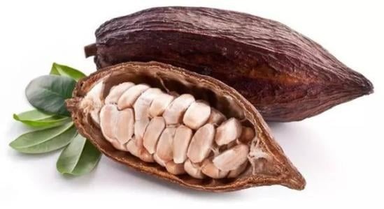 Uganda’s Best Cocoa Bean export company and exporters in South Africa +27631501216