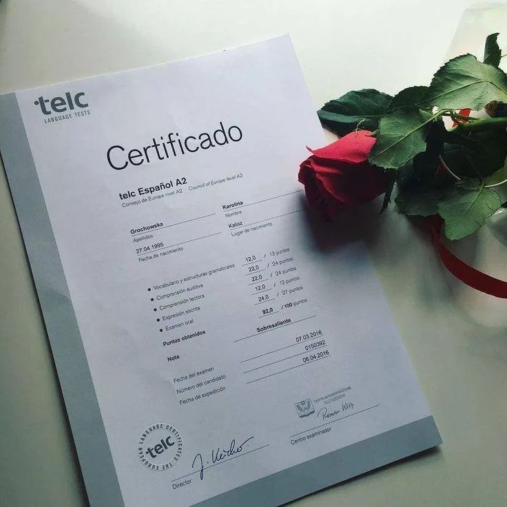 Everything You Need To Know About buy TestDAF C2 Goethe Deutsch A1 German language Certificates