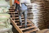 #Green Coffee beans (Arabica Coffee) Grade: AA, A, and AB+27719755564
