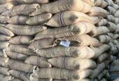 top-quality Ugandan robusta and Arabica coffee beans? Contact +27719755564.
