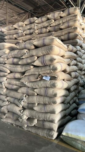 top-quality Ugandan robusta and Arabica coffee beans? Contact +27719755564.