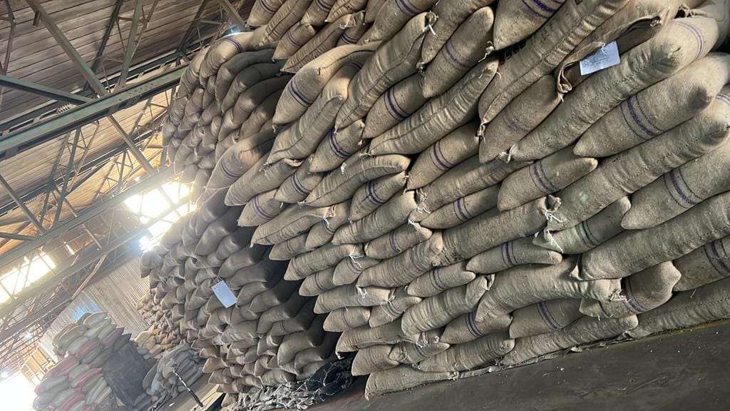 top-quality Ugandan robusta and Arabica coffee beans? Contact +27719755564.