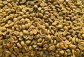 #Green Coffee beans (Arabica Coffee) Grade: AA, A, and AB+27719755564