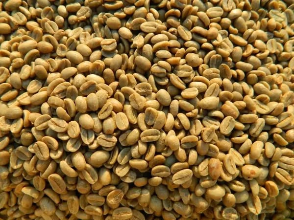 #Green Coffee beans (Arabica Coffee) Grade: AA, A, and AB+27719755564