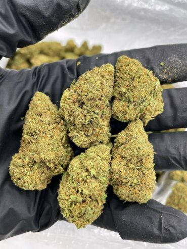 Buy Coke Weed Cocaine Piran Telegram (@thyfone) Signal ID (@thyfone.88)