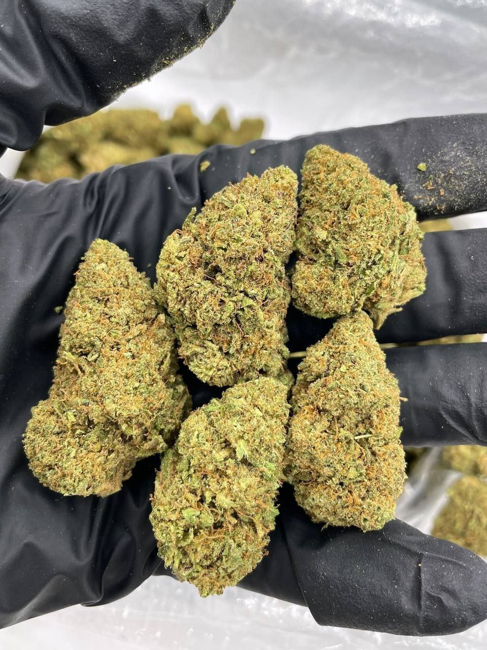 Buy Coke Weed Cocaine Piran Telegram (@thyfone) Signal ID (@thyfone.88)