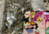 Buy Weed Cocaine Coke Sun Moon Lake Telegram (@thyfone) Signal ID (@thyfone.88)