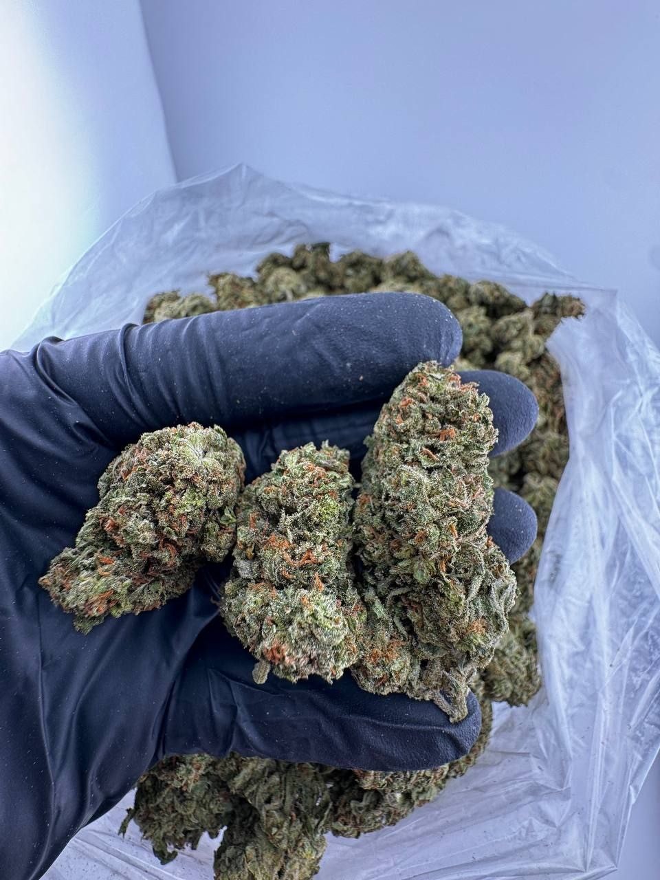 Buy Coke Weed Cocaine Bled Telegram (@thyfone) Signal ID (@thyfone.88)