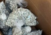 Buy Coke Weed Cocaine Zilina Telegram (@thyfone) Signal ID (@thyfone.88)