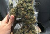 Buy Coke Weed Cocaine Gdynia Telegram (@thyfone) Signal ID (@thyfone.88)