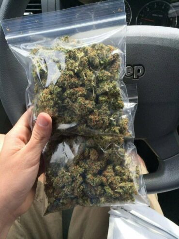 Buy Weed Xanax Cocaine Prague Telegram (@thyfone) Signal ID (@thyfone.88)